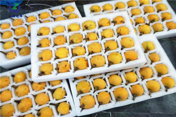 定做枇杷托的材料是環(huán)保的嗎？