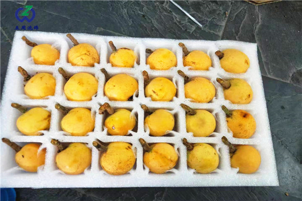 枇杷內(nèi)托的制作材料對(duì)人體有害嗎？